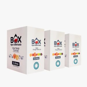 Pack 3 cajas Box de 5 litros Agua Saborizada